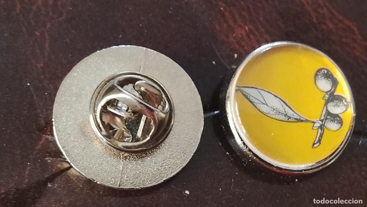 Pins de colecci&oacute;n: pin redondo metal - PLANTAS ECOLOGISTA BOTANICA CIENCIAS naturales - PLANTAS familias botanicas