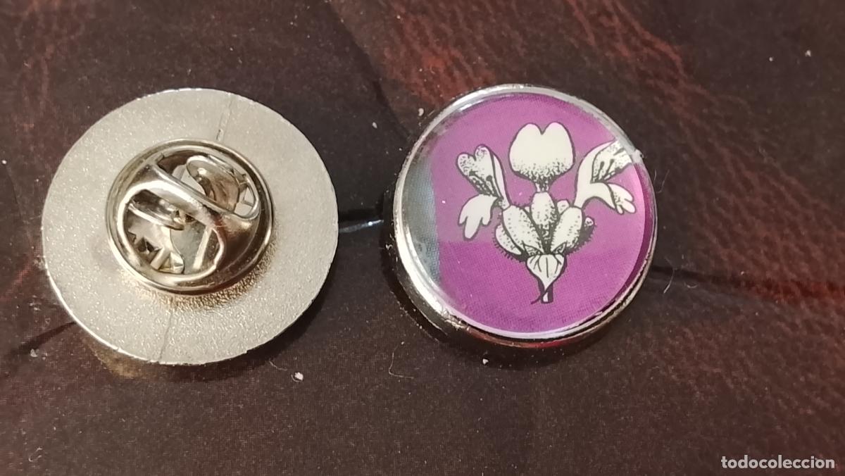 Pins de colecci&oacute;n: pin redondo metal - PLANTAS ECOLOGISTA BOTANICA CIENCIAS naturales - PLANTAS familias botanicas