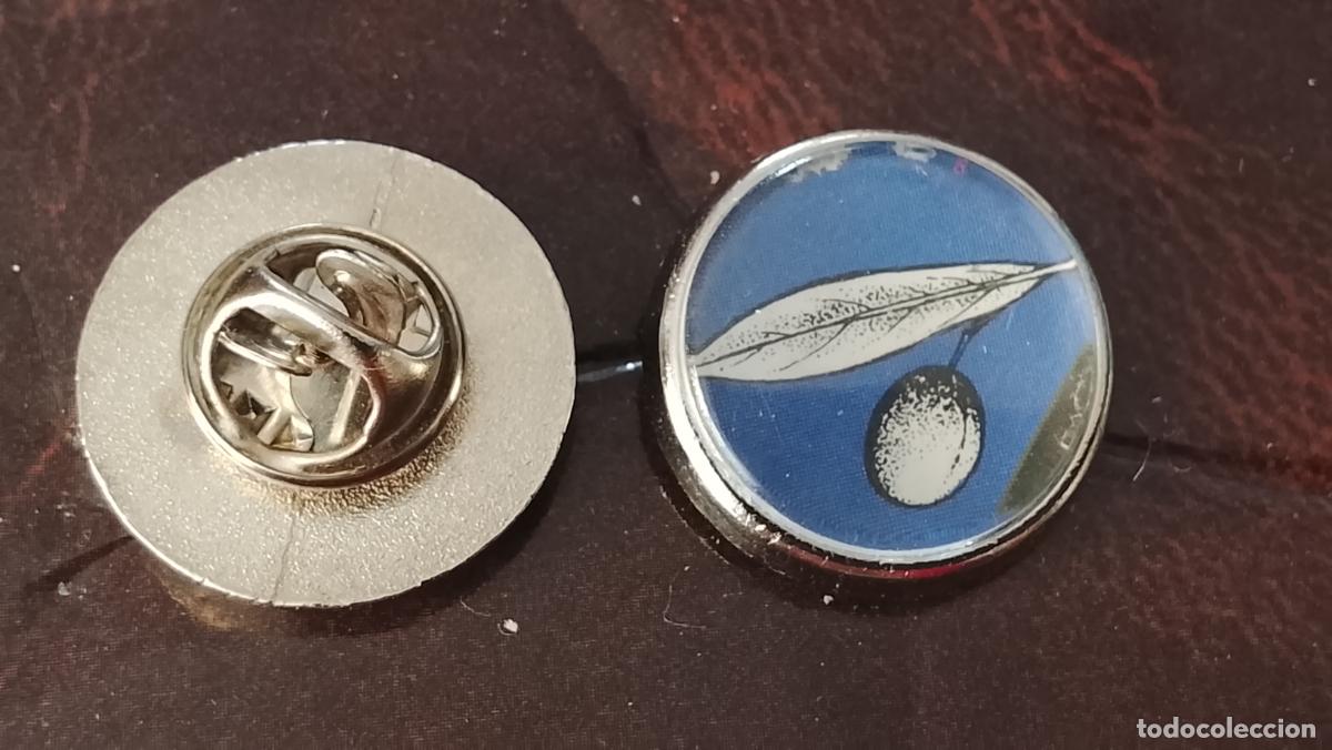 Pins de colecci&oacute;n: pin redondo metal - PLANTAS ECOLOGISTA BOTANICA CIENCIAS naturales - PLANTAS familias botanicas