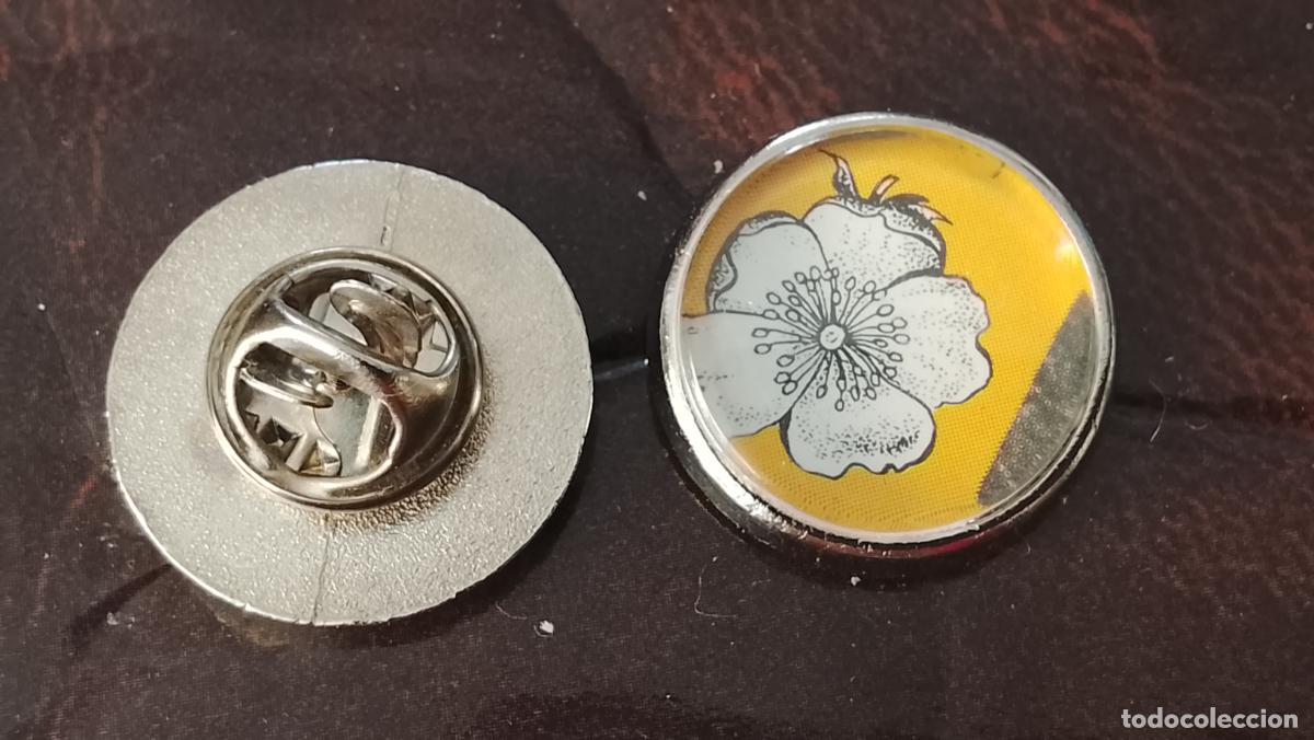 Pins de colecci&oacute;n: pin redondo metal - PLANTAS ECOLOGISTA BOTANICA CIENCIAS naturales - PLANTAS familias botanicas