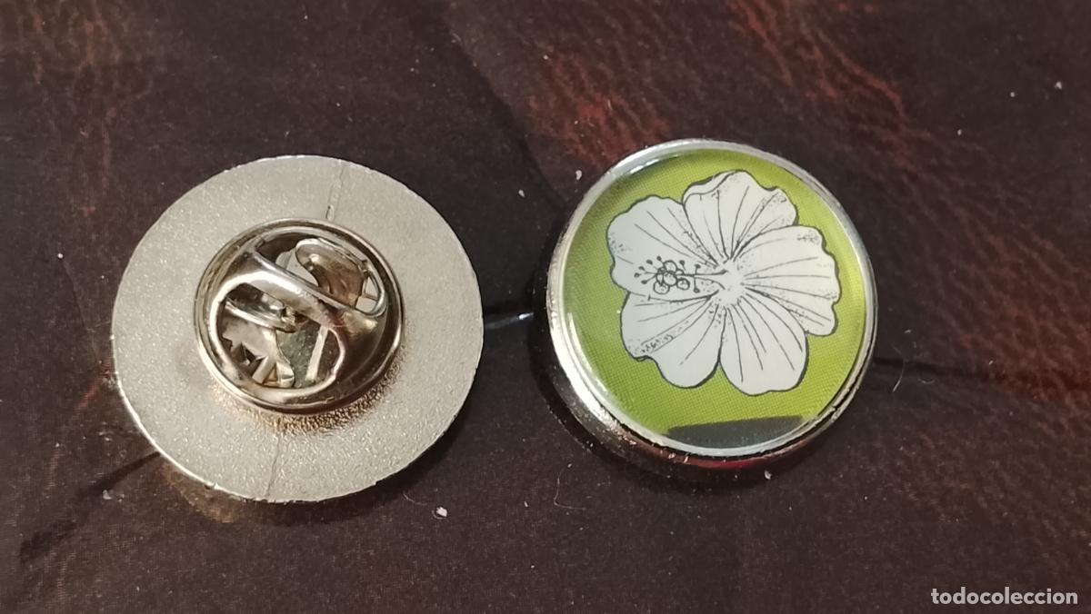 Pins de colecci&oacute;n: pin redondo metal - PLANTAS ECOLOGISTA BOTANICA CIENCIAS naturales - PLANTAS familias botanicas