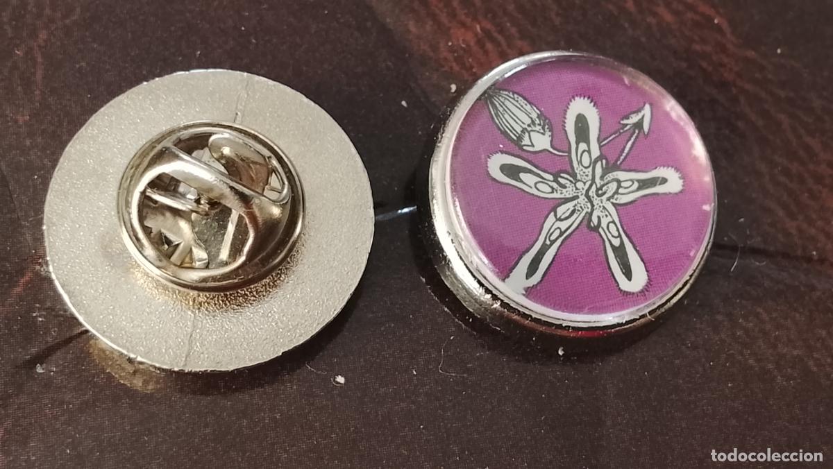 Pins de colecci&oacute;n: pin redondo metal - PLANTAS ECOLOGISTA BOTANICA CIENCIAS naturales - PLANTAS familias botanicas