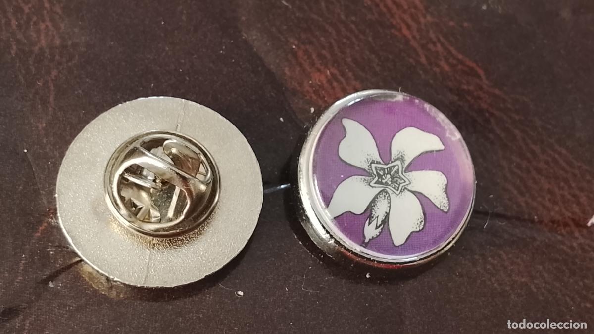Pins de colecci&oacute;n: pin redondo metal - PLANTAS ECOLOGISTA BOTANICA CIENCIAS naturales - PLANTAS familias botanicas