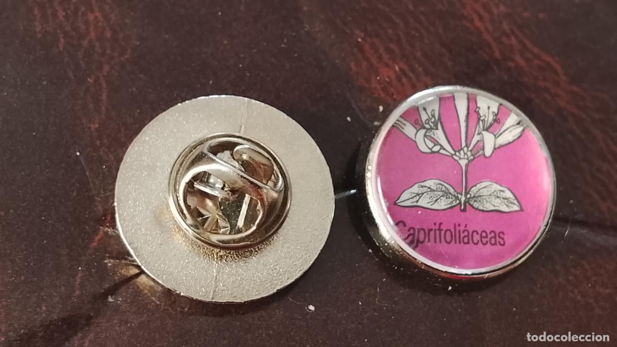 Pins de colecci&oacute;n: pin redondo metal - PLANTAS ECOLOGISTA BOTANICA CIENCIAS naturales - PLANTAS familias botanicas