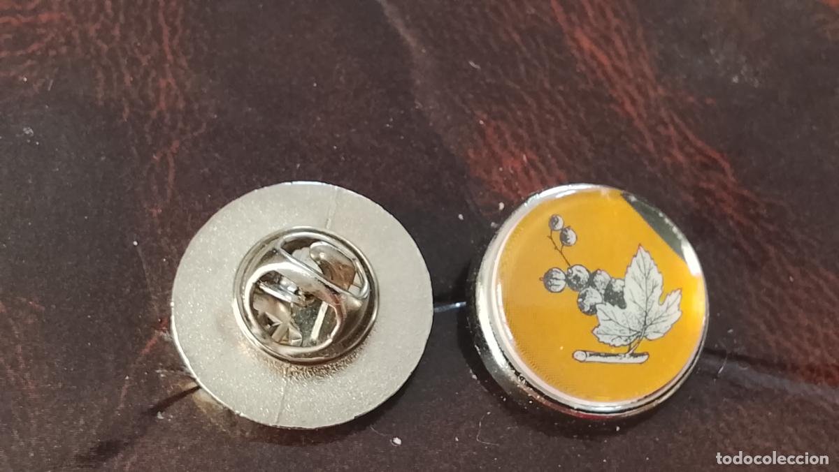 Pins de colecci&oacute;n: pin redondo metal - PLANTAS ECOLOGISTA BOTANICA CIENCIAS naturales - PLANTAS familias botanicas