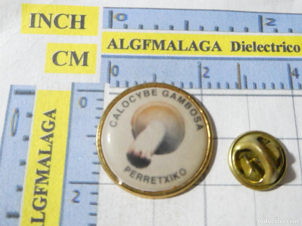 Pins de colecci&oacute;n: PIN DE PAIS VASCO. SETAS HONGOS. PERRECHICO PERRETXIKO CALOCYBE GAMBOSA