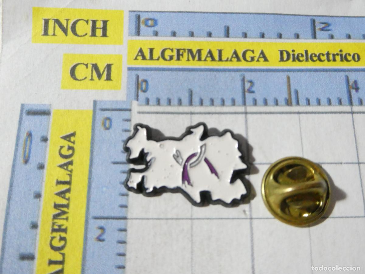 Pins de colecci&oacute;n: PIN POL&Iacute;TICO SINDICAL. VITORIA GASTEIZ PAIS VASCO PARTIDO UNIDAD ALAVESA