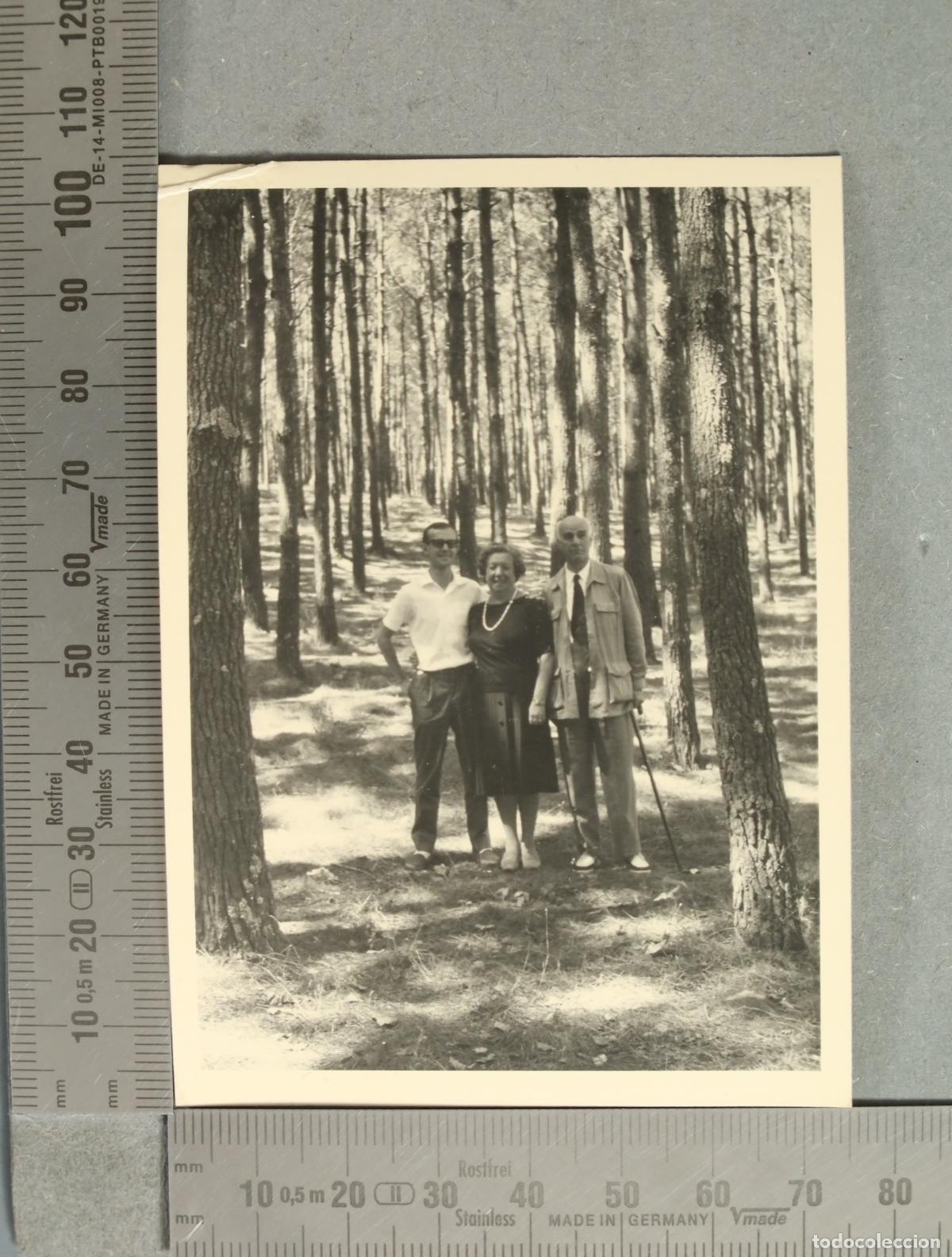 Pins de colecci&oacute;n: PIN. Fotograf&iacute;a en un pinar con tres personas HACIA 1960