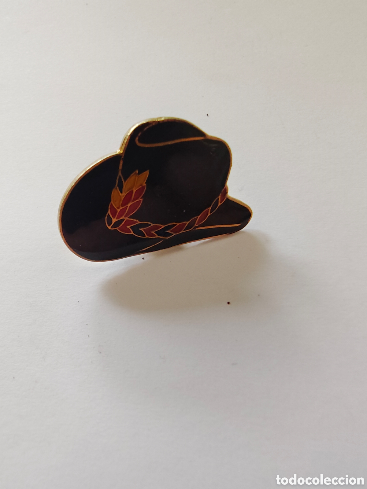 Pins de colecci&oacute;n: pin en forma de sombrero tradicional - car244