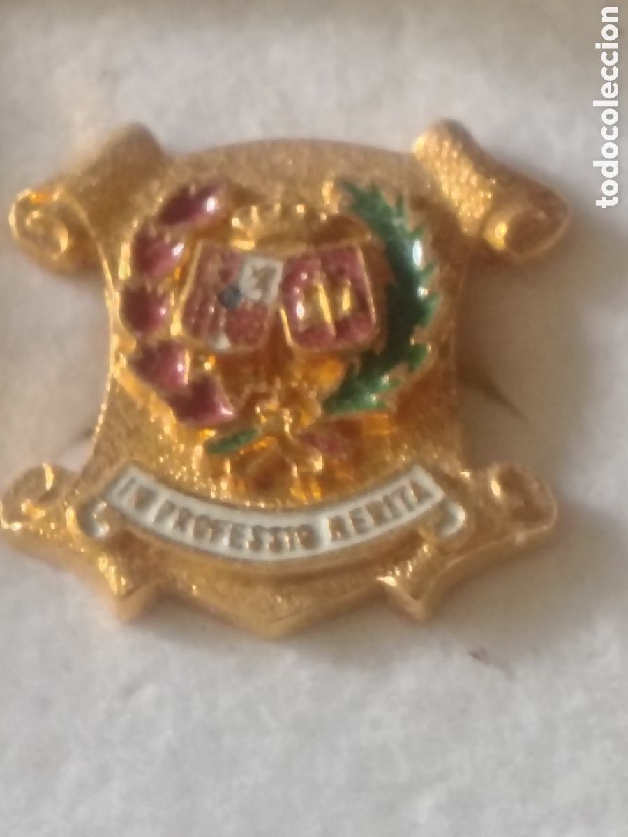 Pins de colecci&oacute;n: PIN AL M&Eacute;RITO PROFESIONAL, IN MERITA