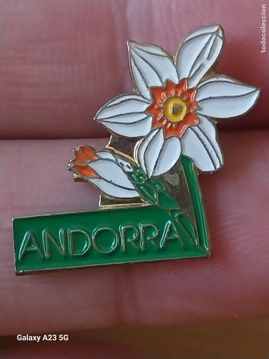 Pins de colecci&oacute;n: ANDORRA EDELWEISS PIN PINCHO 2CMS ALTO PINTURA LACADA