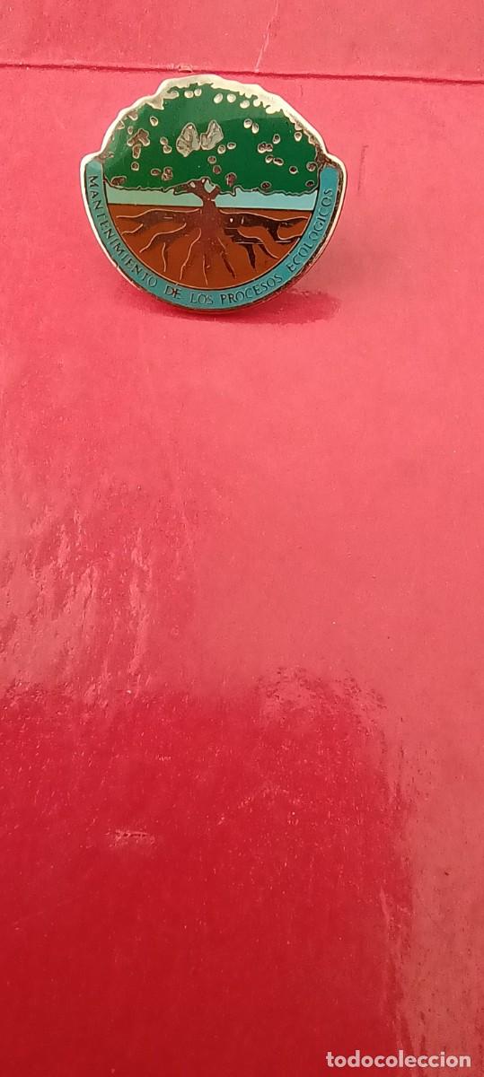 Pins de colecci&oacute;n: Pin Mantenimiento de los procesos ecol&oacute;gicos - Ecolog&iacute;a