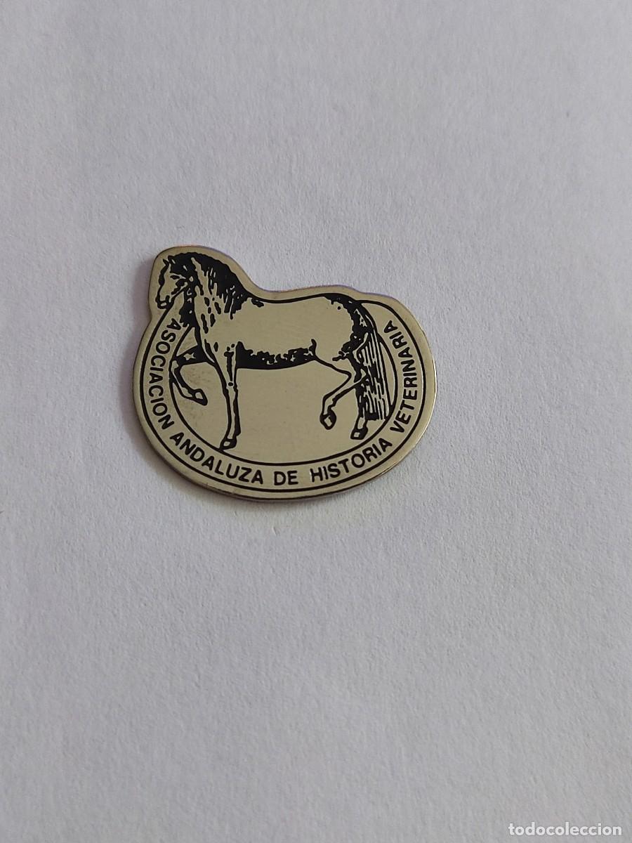 Pins de colecci&oacute;n: PIN ASOCIACION ANDALUZA DE HISTORIA VETERINARIA