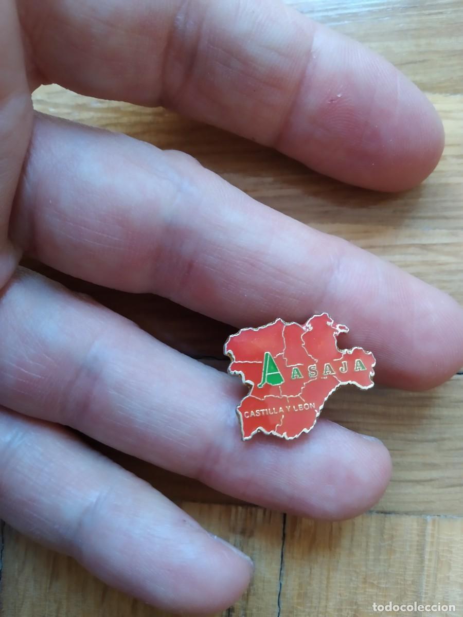 Pins de cole&ccedil;&atilde;o: PIN ASAJA CASTILLA Y LEON ASOCIACION AGRARIA QUE DEFIENDE INTERESES DE AGRICULTORES Y GANADEROS