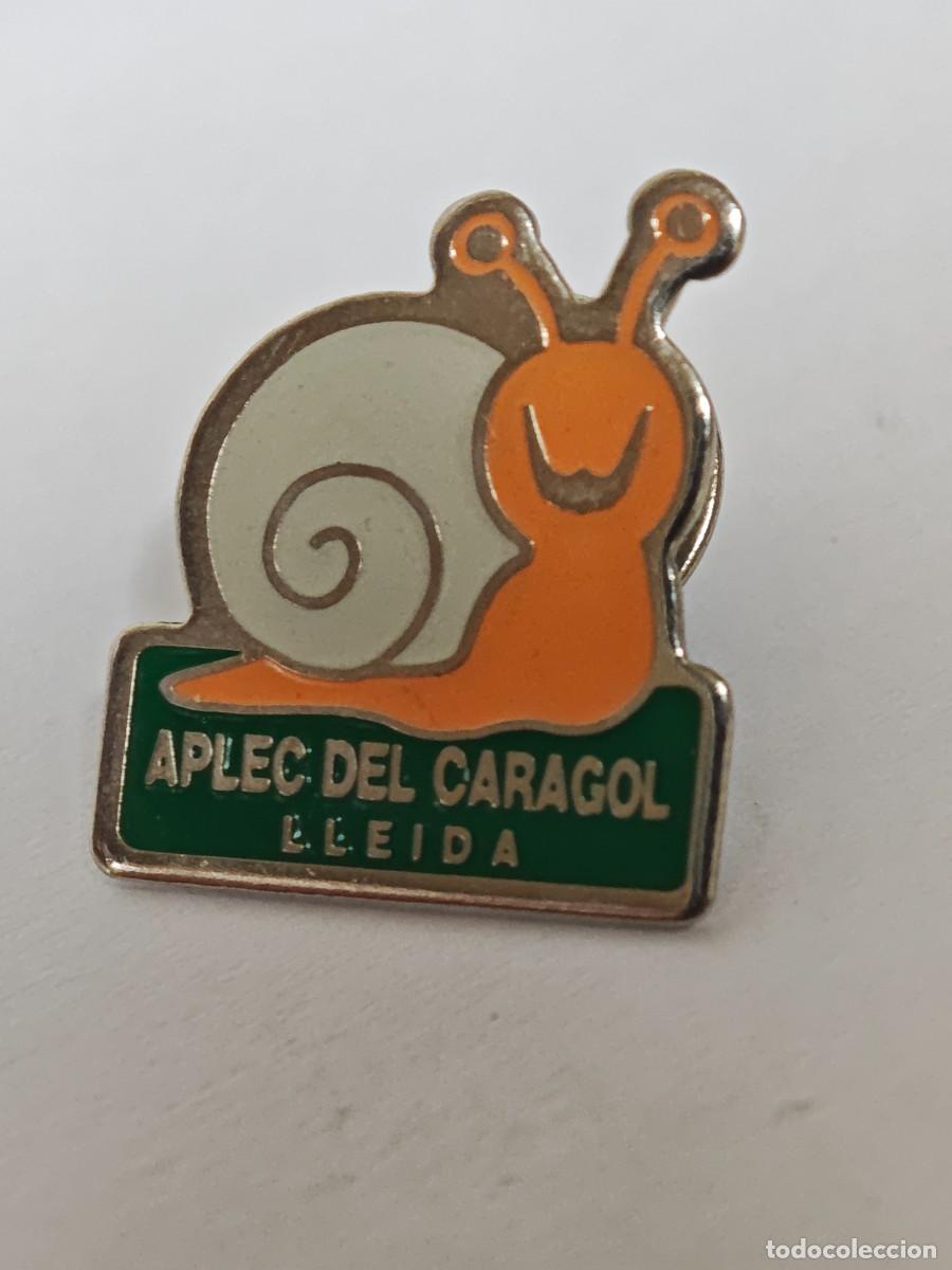 Pins de colecci&oacute;n: PIN LLEIDA APLEC CARGOL