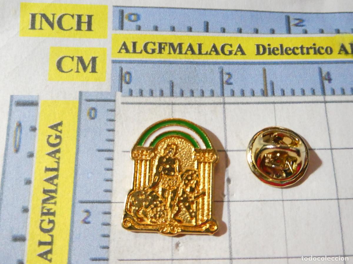 Pins de colecci&oacute;n: PIN DE TURISMO HER&Aacute;LDICA. ESCUDO HER&Aacute;LDICO DE ANDALUC&Iacute;A.
