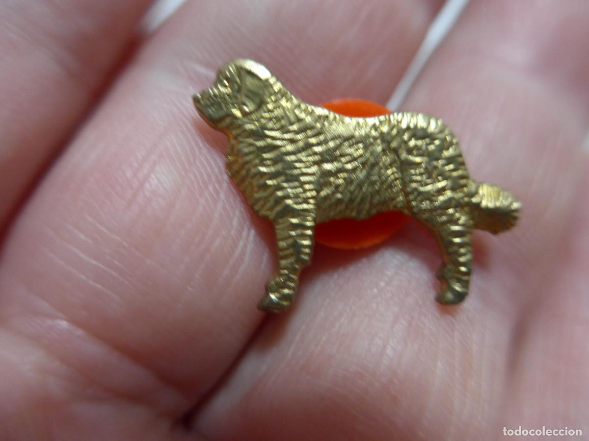 Pins de colecci&oacute;n: PIN PERRO SAN BERNARDO EN DORADO