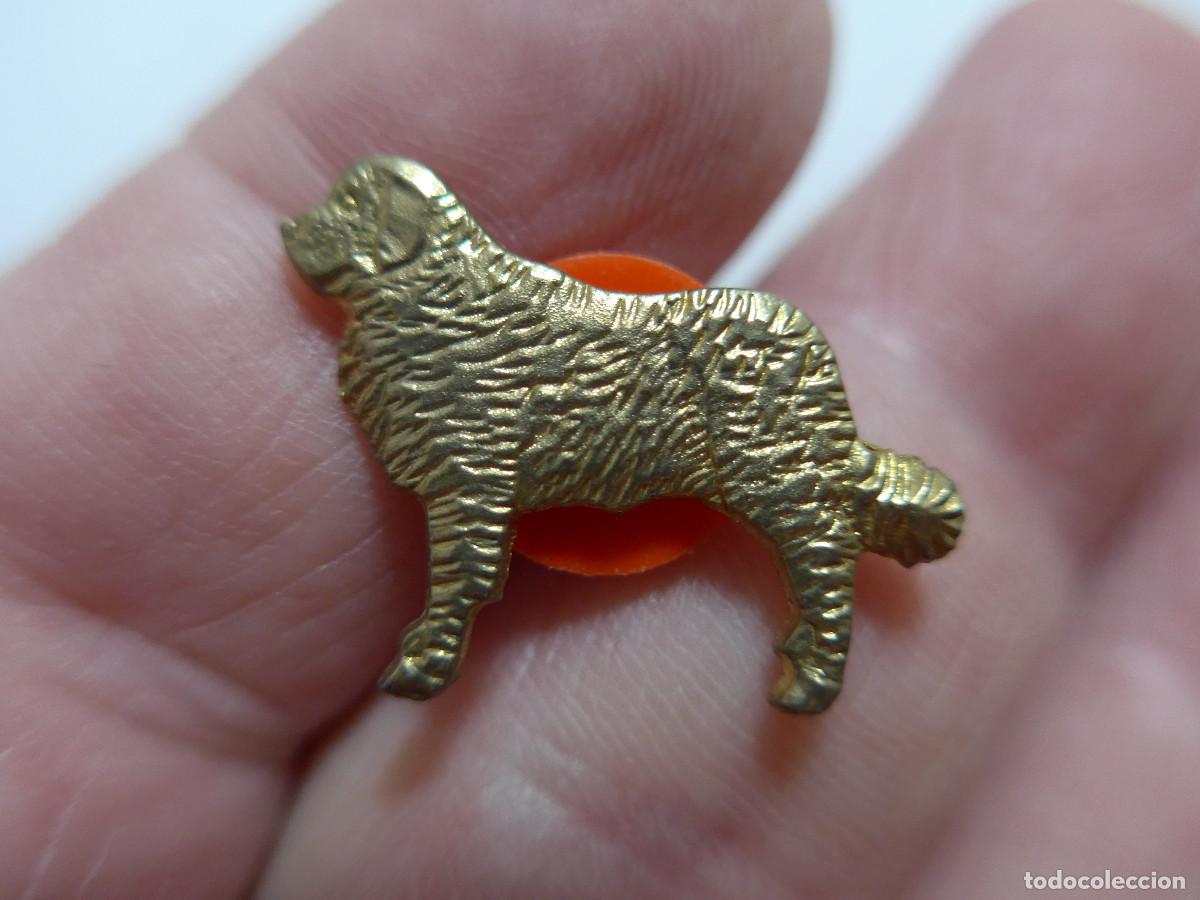Pins de colecci&oacute;n: PIN PERRO SAN BERNARDO EN DORADO