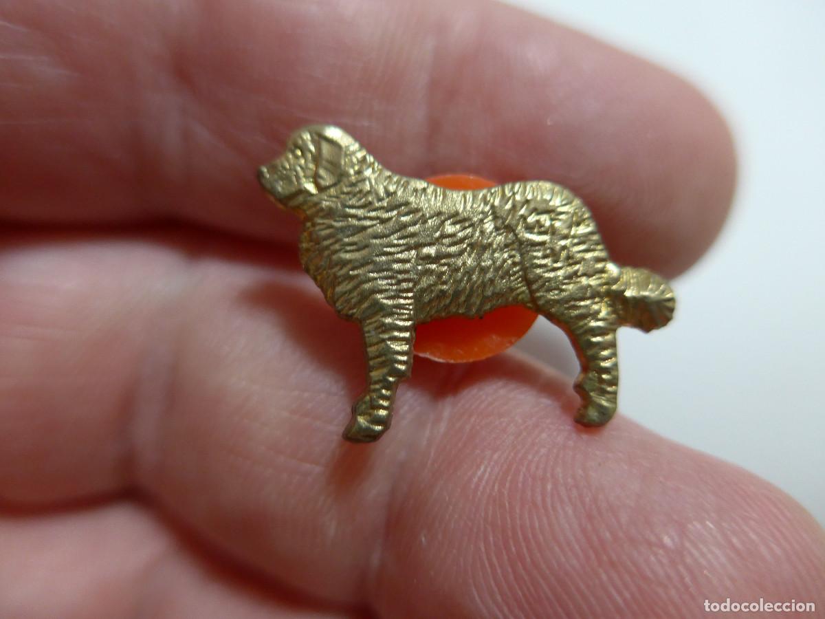 Pins de colecci&oacute;n: PIN PERRO SAN BERNARDO EN DORADO - Foto 1