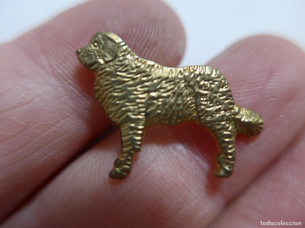 Pins de colecci&oacute;n: PIN PERRO SAN BERNARDO EN DORADO