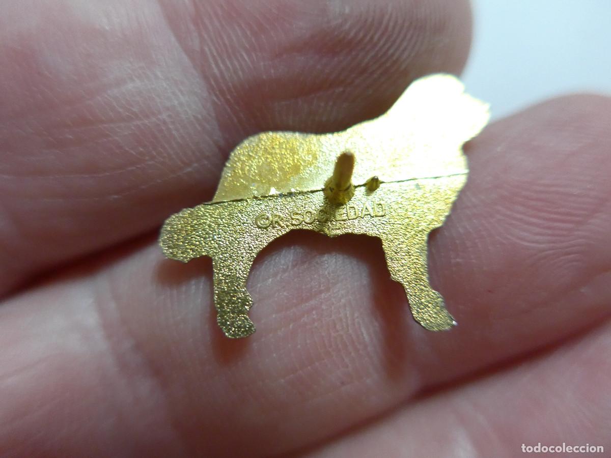 Pins de colecci&oacute;n: PIN PERRO SAN BERNARDO EN DORADO - Foto 2