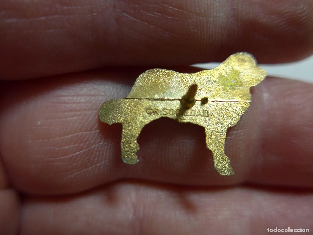 Pins de colecci&oacute;n: PIN PERRO SAN BERNARDO EN DORADO - Foto 2