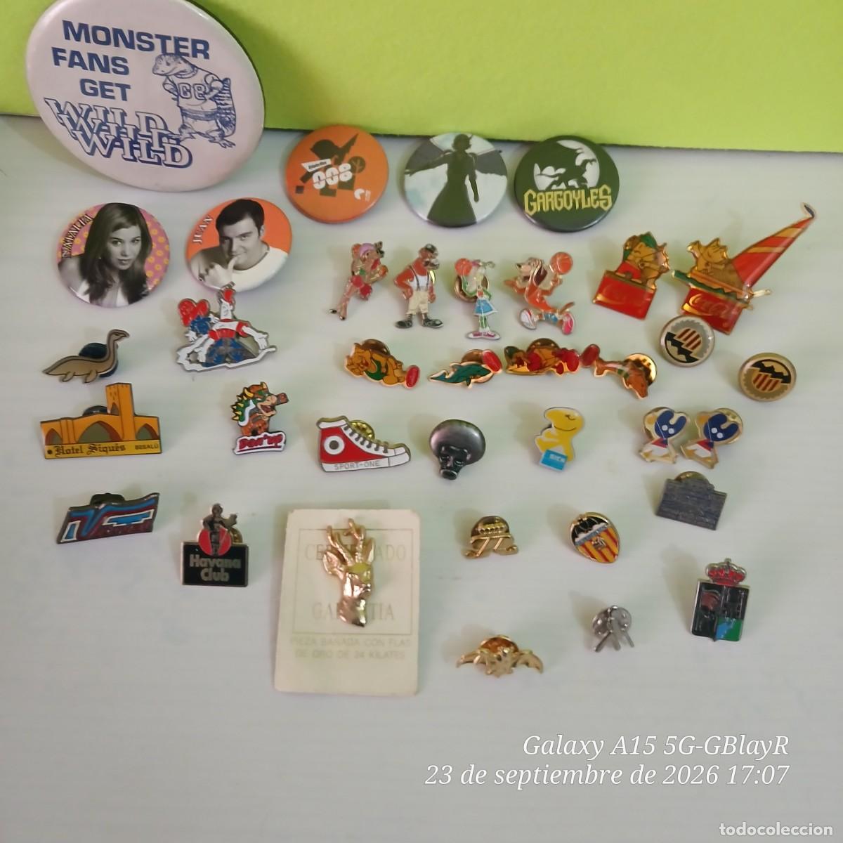 Pins de colecci&oacute;n: Colecci&oacute;n 30 pins y 6 broches geniales.