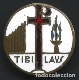 Pins de colecci&oacute;n: INSIGNIA ESMALTADA, PIN ANTIGUO, TIBILAVS