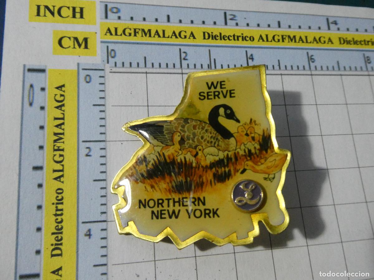 Pins de colecci&oacute;n: PIN CLUB DE LEONES. LIONS INTERNATIONAL. GIGANTE DOBLE. FAUNA AVES. NORTHERN NEW YORK NUEVA YORK