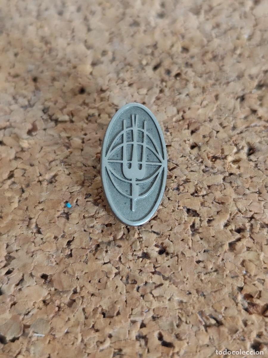 Pins de colecci&oacute;n: 2 Pin met&aacute;lico sin identificar