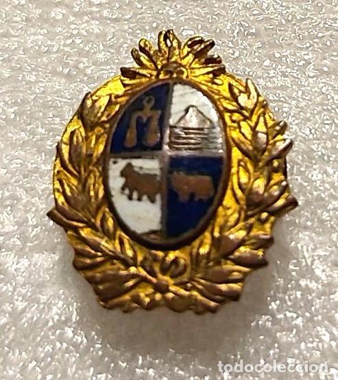 Pins de colecci&oacute;n: INSIGNIA ANTIGUA ESCUDO URUGUAY #11