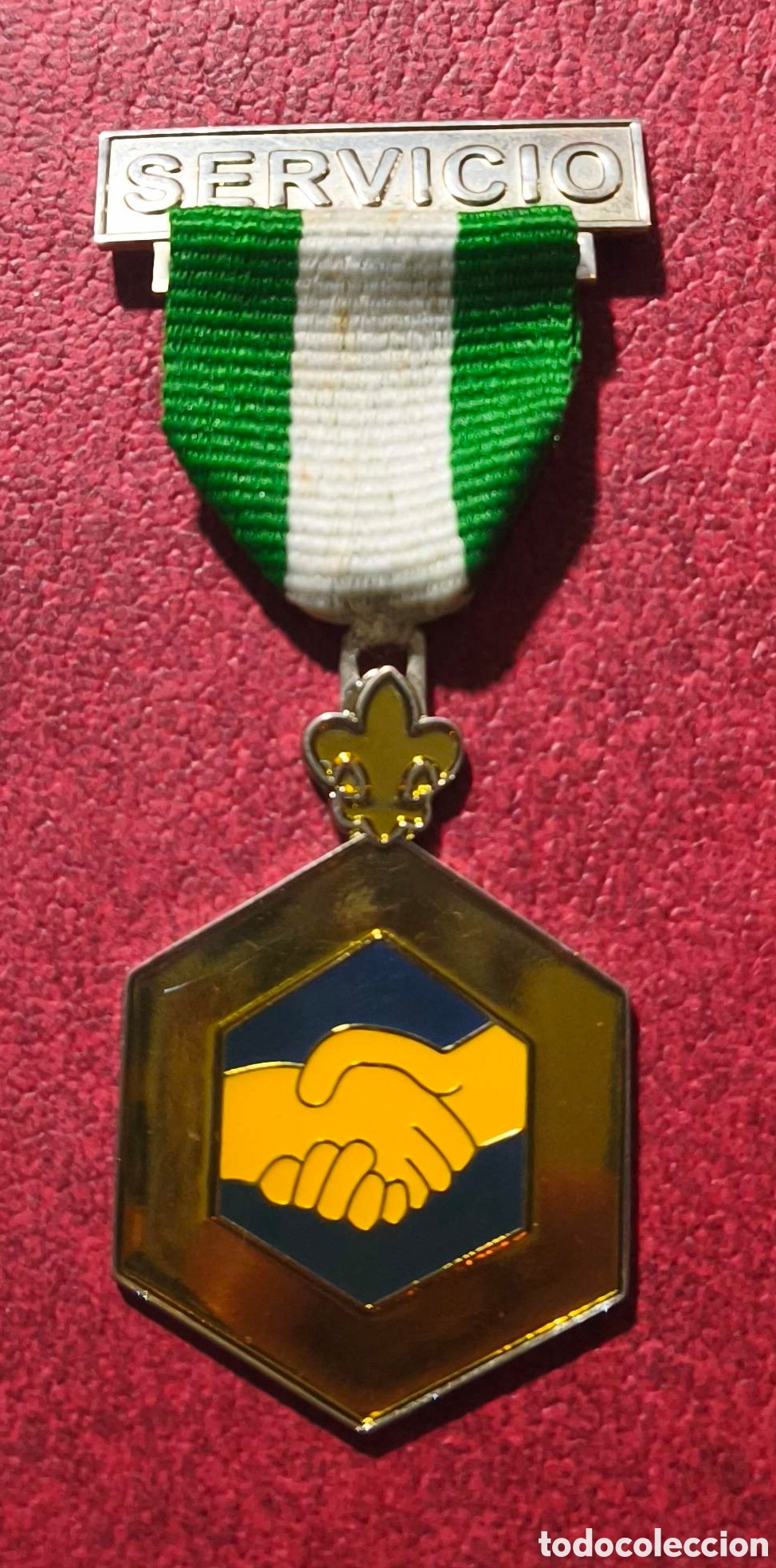 Pins de colecci&oacute;n: Boy Scouts. Medalla al Servicio - Foto 1