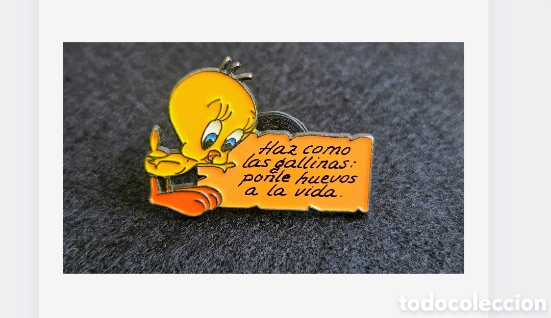 Collection pins: Pin de Piol&iacute;n con mensaje divertido
