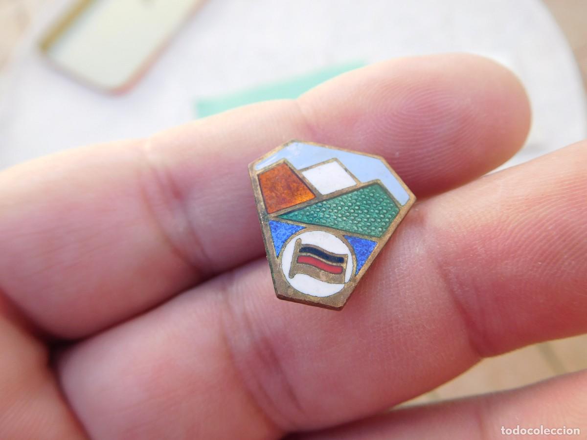 Pins de colecci&oacute;n: Insignia antigua esmaltada asociaci&oacute;n tur&iacute;stica de ferroviarios Alemania