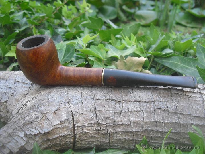 Pipas de fumar: Pipa de fumar Salvatella 311 - Foto 1