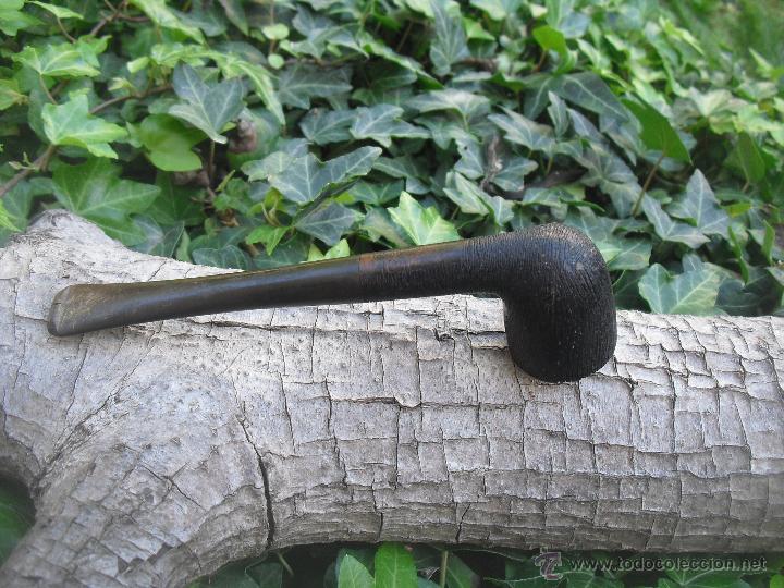 Pipas de fumar: Pipa de fumar CORAL. - Foto 3