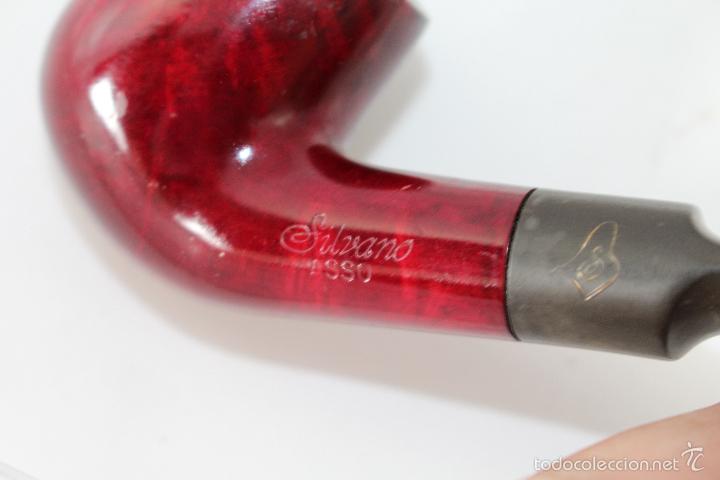 Pipas de fumar: pipa de fumar silvano - asso - Foto 5