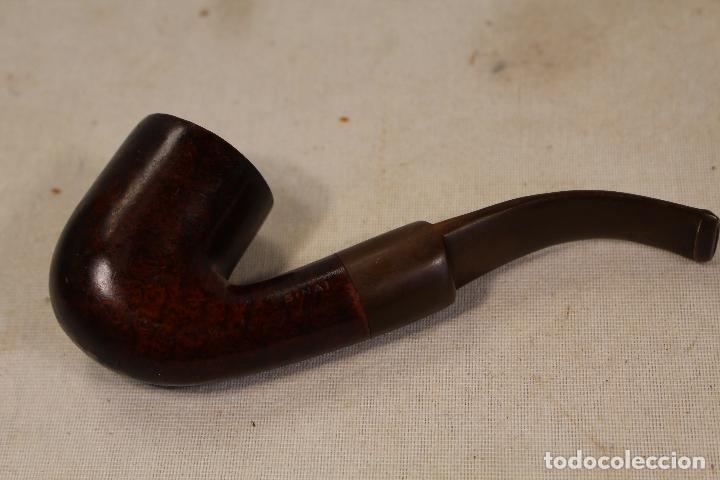 Pipas de fumar: pipa de fumar sinai - Foto 4
