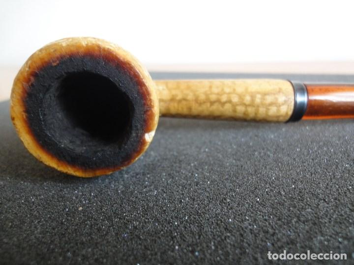 Pipas de fumar: Pipa de fumar Missouri corn cob. Mazorca de maiz. - Foto 3