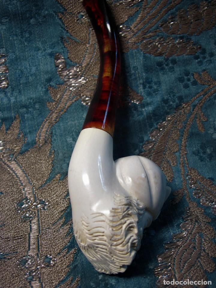 Pipas de fumar: PIPA DE COLECCI&Oacute;N - Foto 2