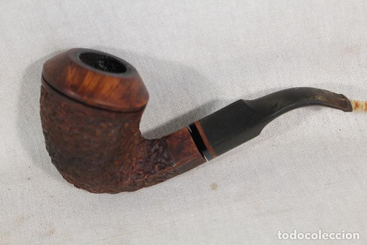 Pipas de fumar: pipa de fumar ursa - Foto 3