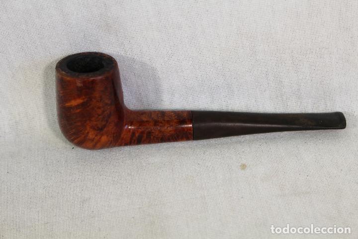 Pipas de fumar: pipa de fumar real briar - Foto 1