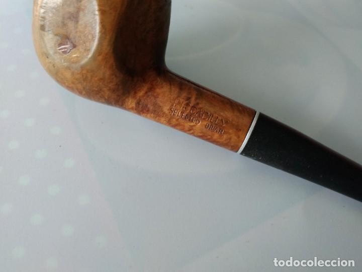 Pipas de fumar: PIPA PICCADILLY SELECTED BRIAR - Foto 2