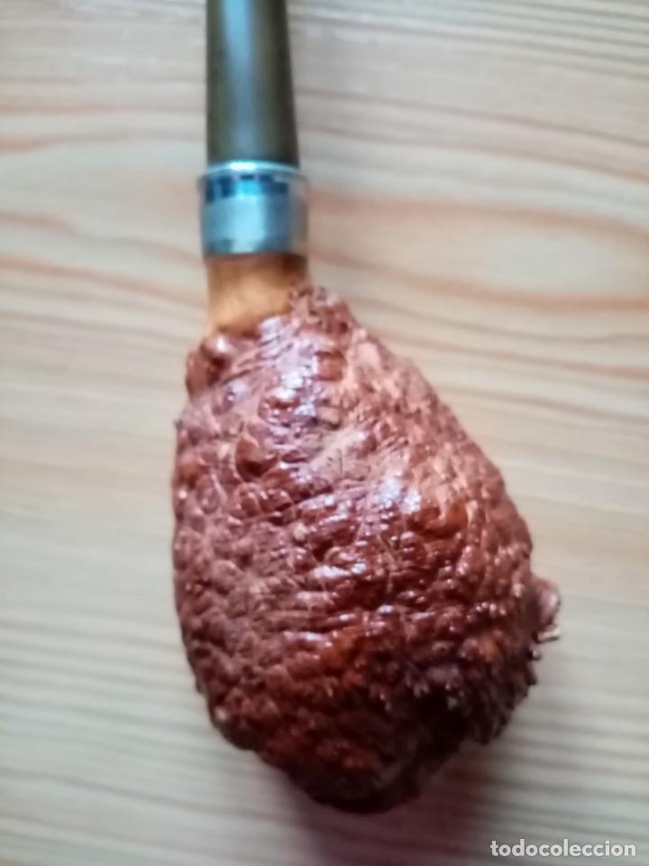 Pipas de fumar: PIPA BASE LABRADA - SIN MARCA - Foto 6