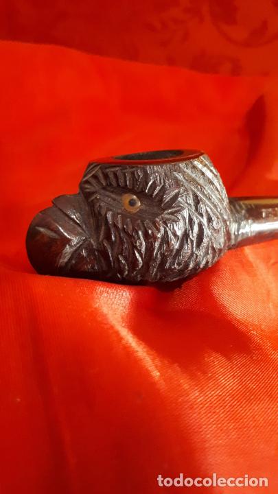 Pipas de fumar: Pipa. - Foto 1