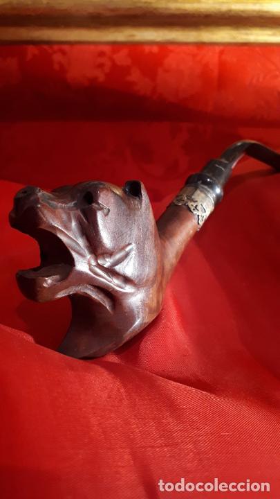 Pipas de fumar: Pipa. - Foto 2
