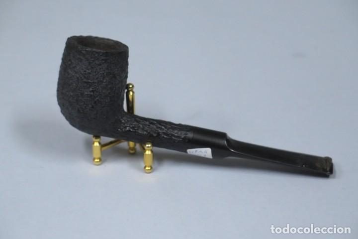 Pipas de fumar: PIPA. CAPITOL. BRUYERE. 110 - Foto 1