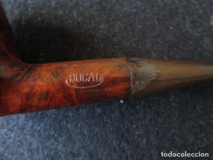 Pipas de fumar: PIPA DUCAL - Foto 3