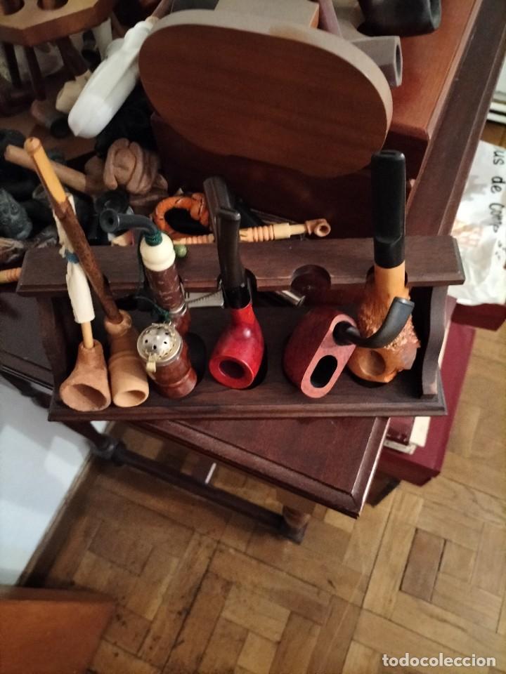 Pipas de fumar: COLECCI&Oacute;N PIPAS - Foto 2