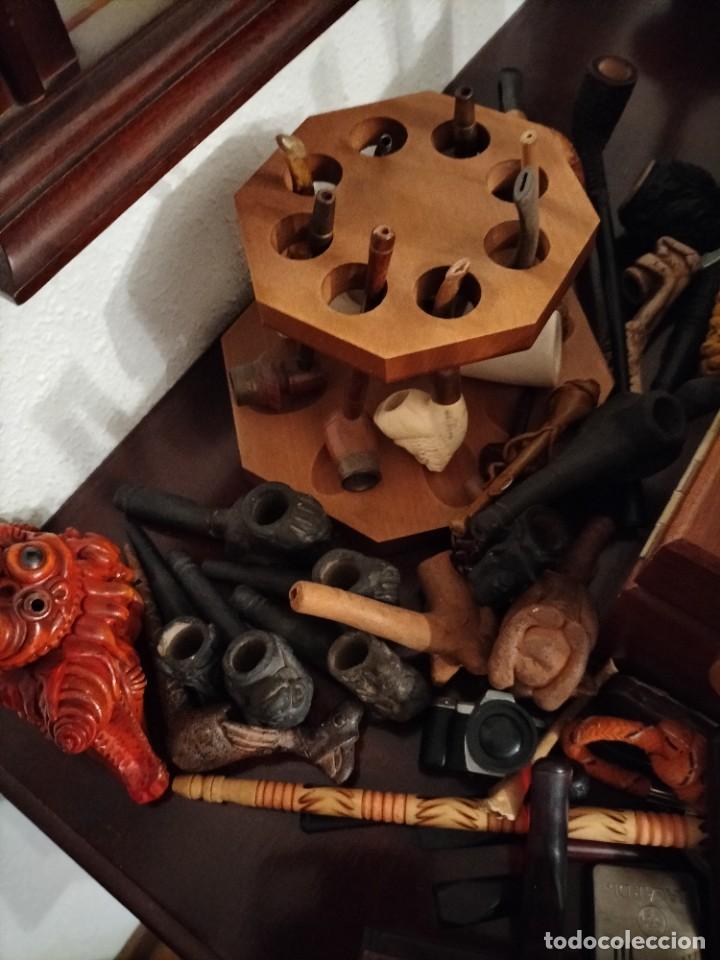 Pipas de fumar: COLECCI&Oacute;N PIPAS - Foto 6